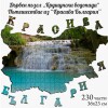 Дървен пъзел 