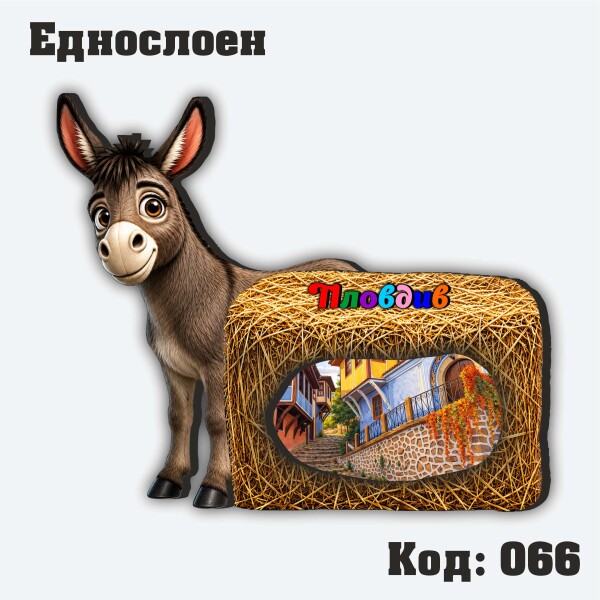 Сувенирен магнит - Магаре